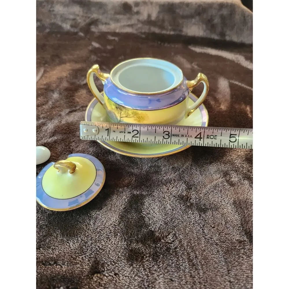 Vintage Noritake Japan Handpainted sugar bowl